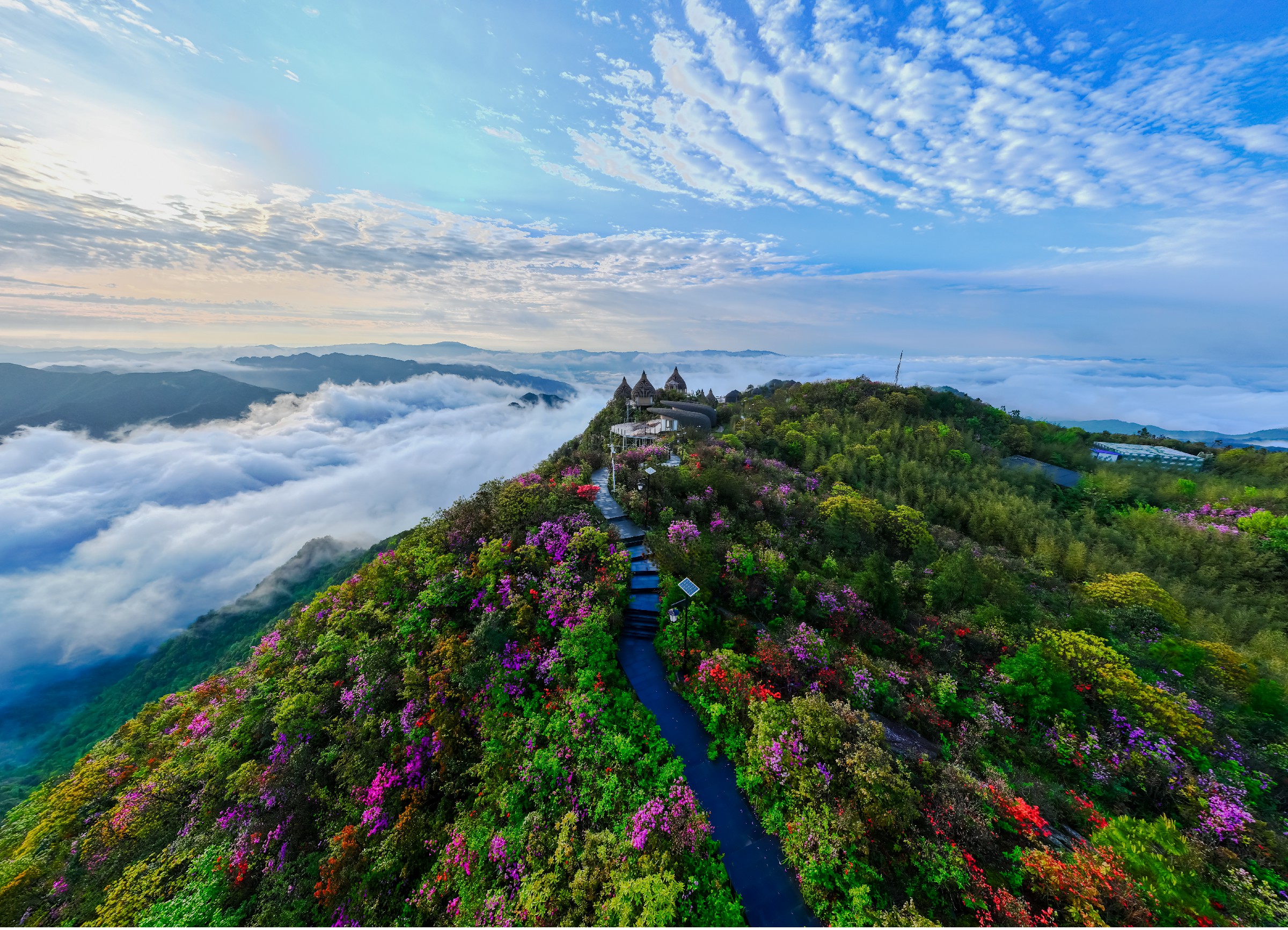 1778675576550009.jpg 021 待到山花浪漫时 车天雪18188951703.jpg